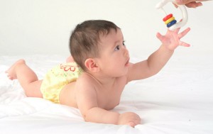 kid กล้ามเนื้อมัดเล็ก